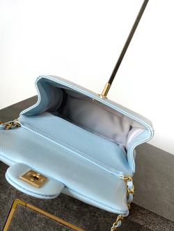 Chanel Bag (3 sizes)