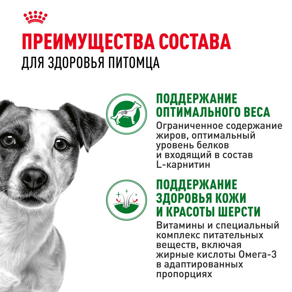 Пауч Royal Canin Mini Adult для взрослых собак мелких размеров от 10 месяцев, кусочки в соусе Пауч Royal Canin Mini Adult для взрослых собак мелких размеров от 10 месяцев, кусочки в соусе