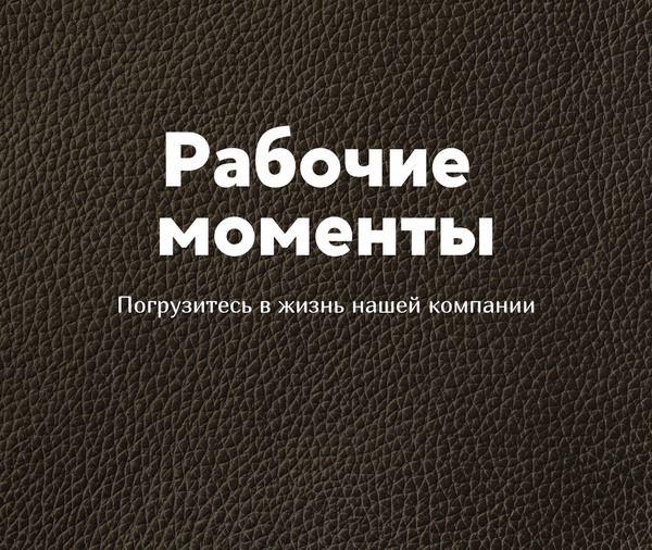 Рабочие  моменты