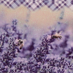 Пакет подарочный «Лавандовые сны» 32*26*12 см