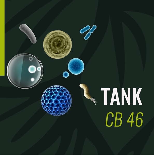 Высокощелочное моющее средство Tank CB 46.
