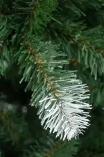 Заснеженная ель «Звездная» (пвх) от 1,2 м до 3 м