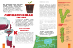 Человек. Исследуем тело и мозг человека