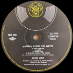 Elton John / Madman Across The Water (LP)