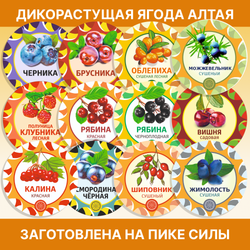 Облепиха Алтайская "Отборная" 600г. Сушеные ягоды без сахара.