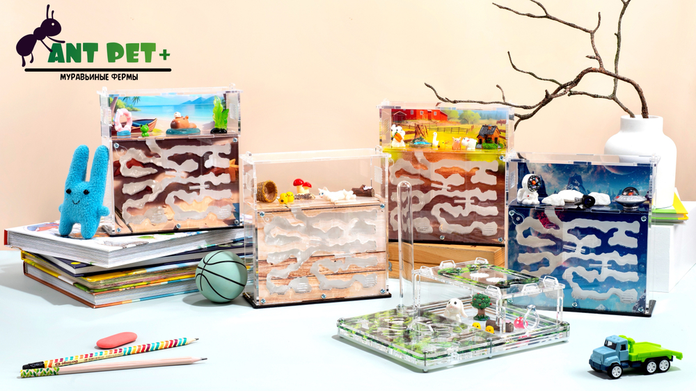Муравьиная ферма "Мох" с муравьями в подарок