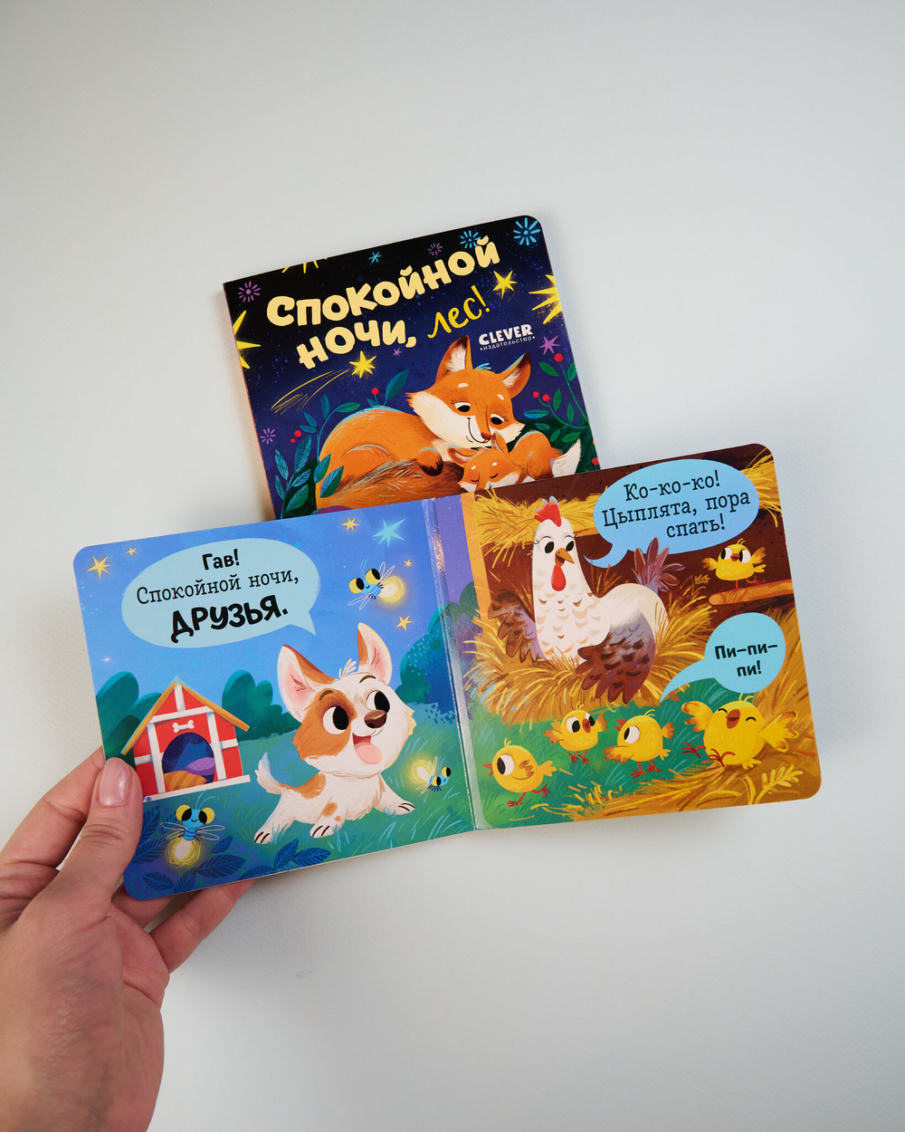 Комплект книжек-раскладушек, 2 книги