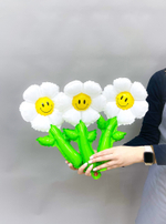 Шар Ромашка ассорти