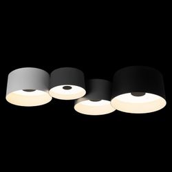 Потолочная люстра Loft it Duo 10360/4