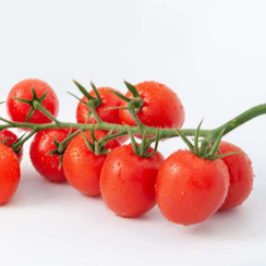 Оригами F1 семена томата индетерминантного (Гавриш)