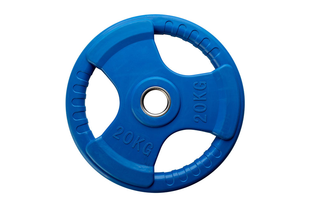 Диск 20 кг обрезиненный (синий)