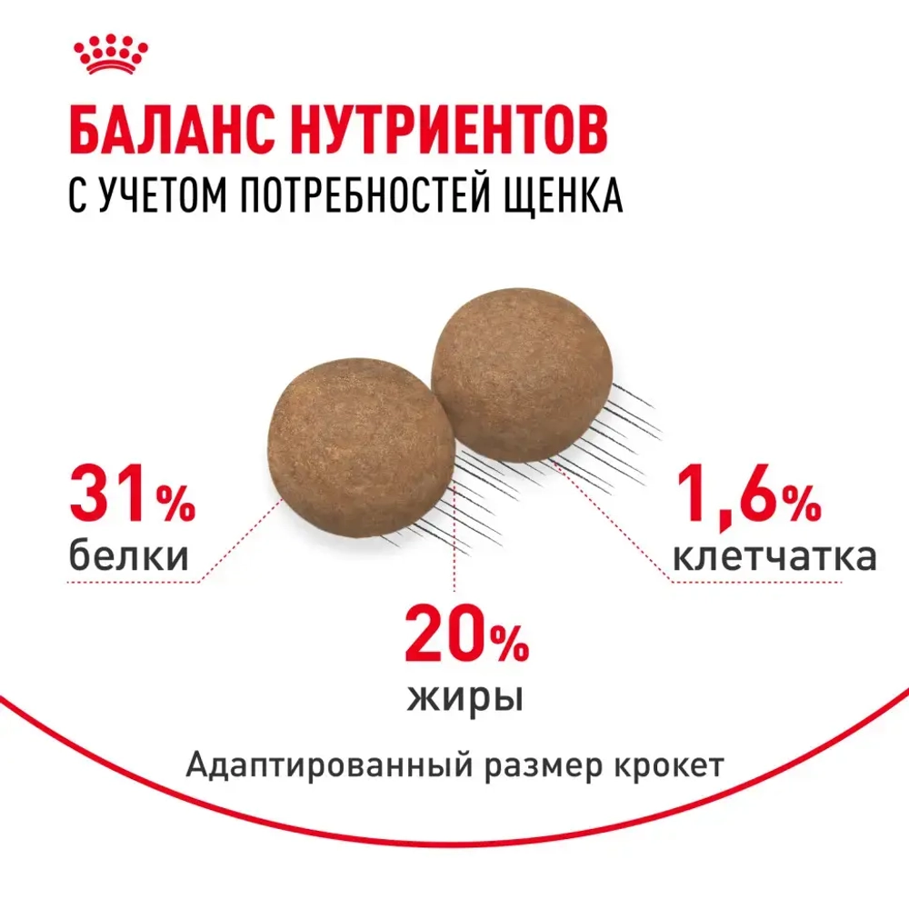 Royal canin mini puppy сухой корм для щенков мелких пород до 8 месяцев - 800 г