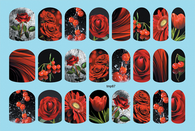 Термопленка ALLURE Арт.tmp87 Набор 24 шт