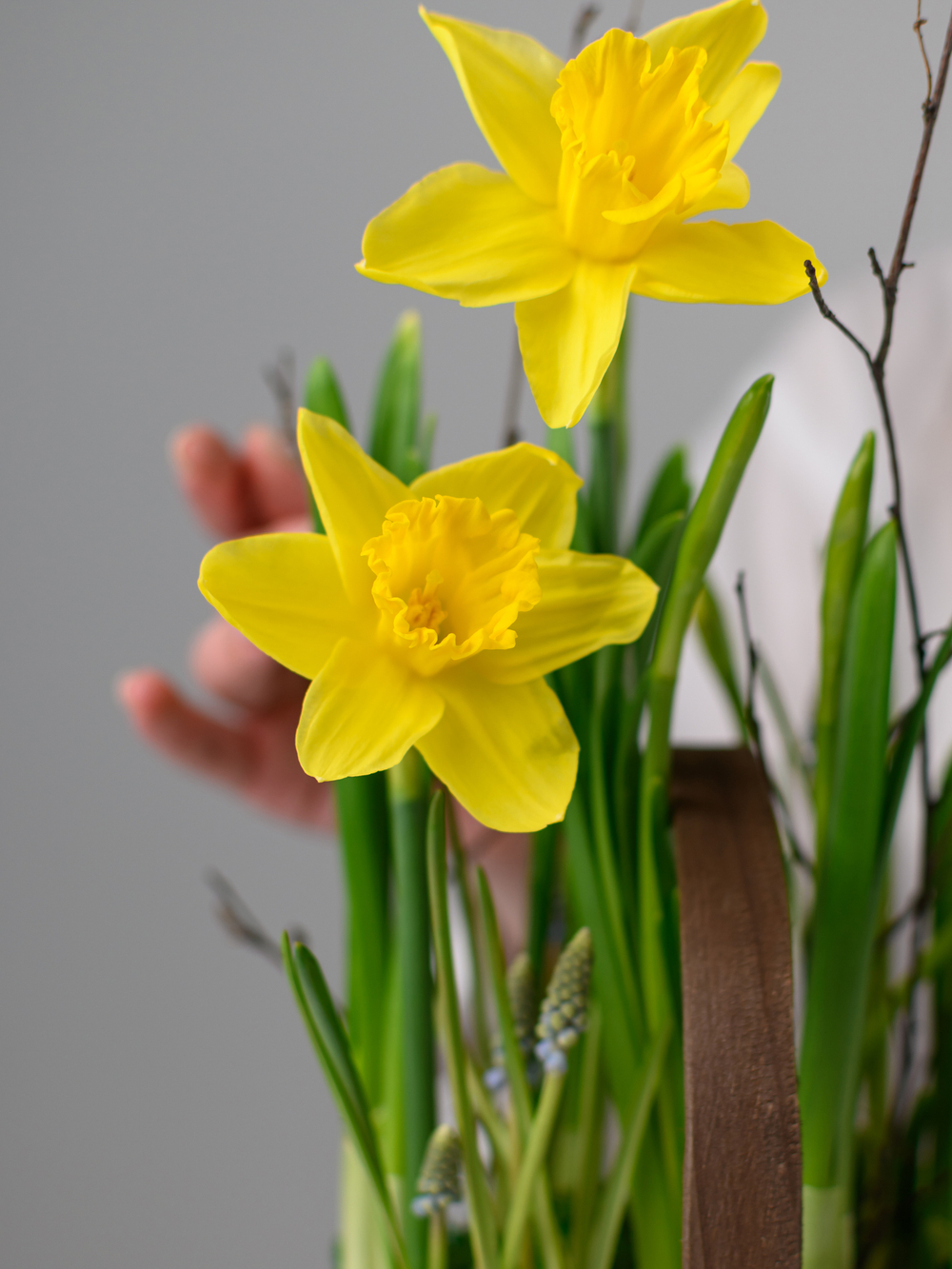 Лесная полянка