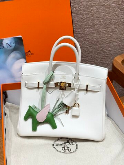 Hermes Birkin 25