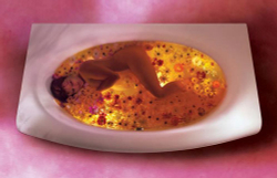 Ванна акриловая Ravak Evolution 180x102 C101000000