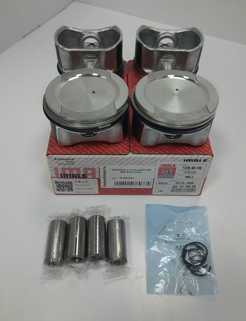 Поршни с кольцами STD BSE BFQ IMALE