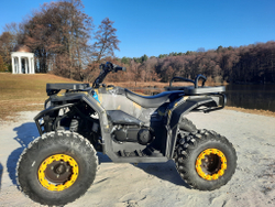 Квадроцикл бензиновый MOTAX GRIZLIK W200