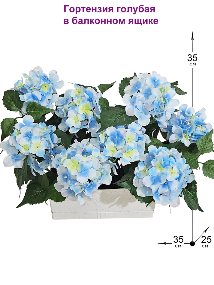 Гортензия голубая 35см в балконном ящике