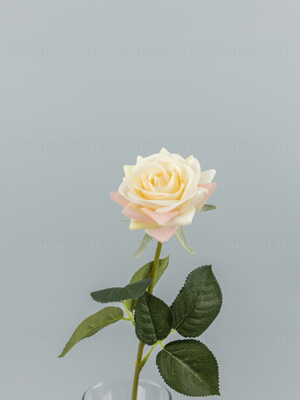 Роза Фелиция силикон