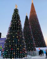 Умная уличная гирлянда «3D» на елку от 4 до 30 м