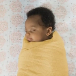 SwaddleDesigns Набор пеленок муслин 4 шт. - Earthtone 4-Pack, Spring Garden