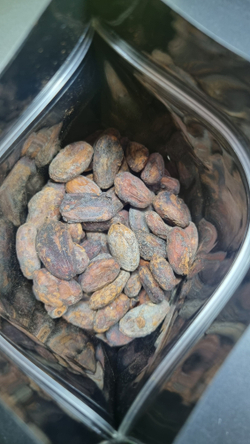 Мадре Де Диос