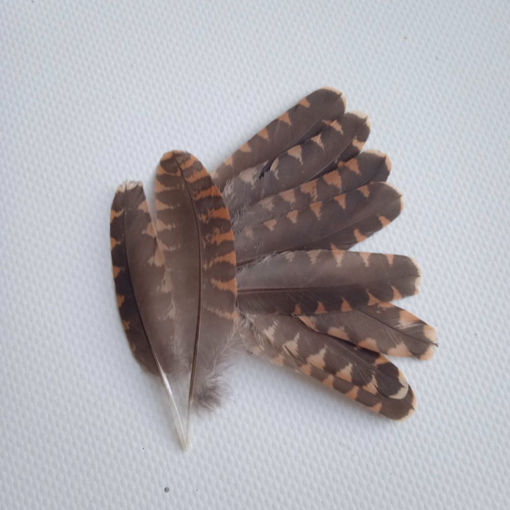 Перья вальдшнепа 4-7 см. 10 шт.