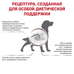 Royal Canin VET Gastro Intestinal - диета для собак с проблемами ЖКТ