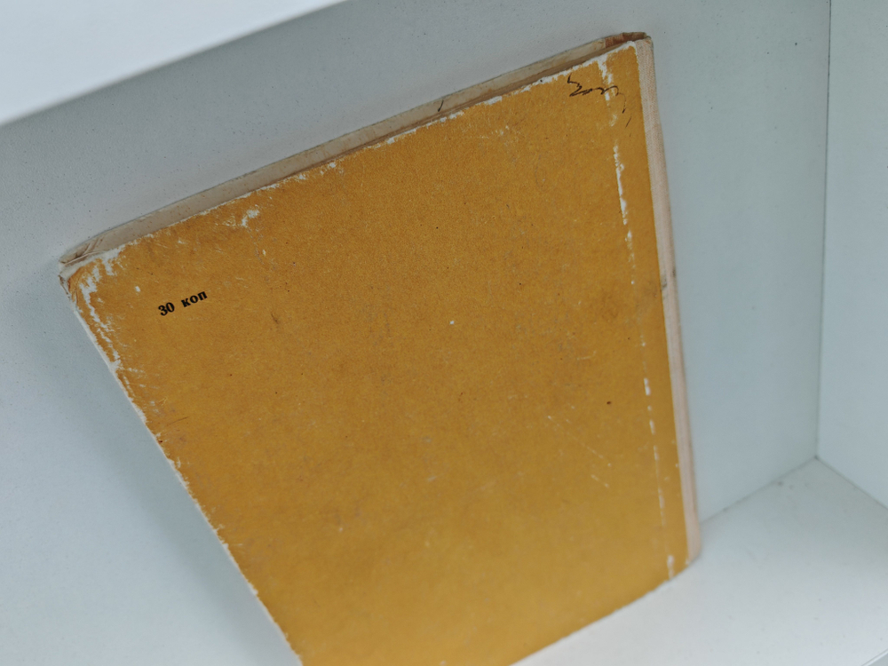 Приключения доисторического мальчика