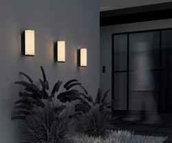 Уличный настенный светильник Outdoor O434WL-L12GF3K