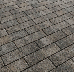 Тротуарная плитка ПРЯМОУГОЛЬНИК 300х100 мм - Листопад гранит Старый замок