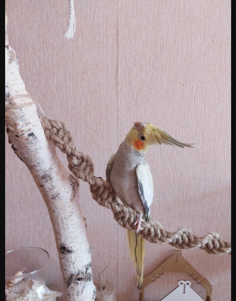 Канат джутовый для попугаев 30см