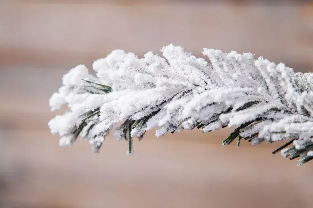 Ель Атлантида заснеженная 215 см., 264 LED ламп, ПВХ, Black Box (74363)