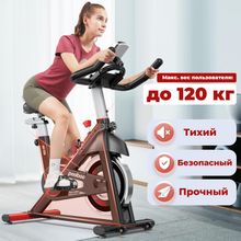 Спин-байк DFC Pooboo / магнитный, до 120 кг