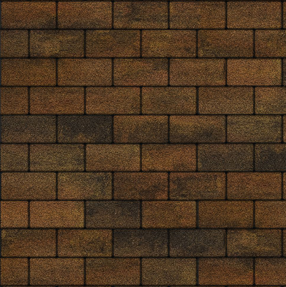 Тротуарная плитка ПРЯМОУГОЛЬНИК Б.2.П.6 200x100 мм Листопад гранит Саванна