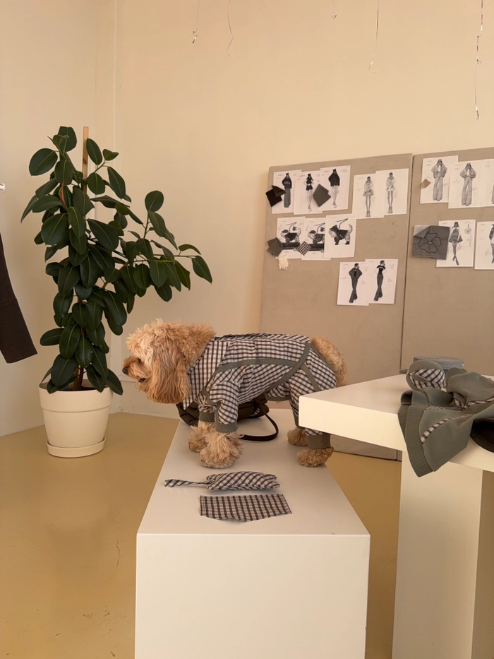 БРЮКИ САВЬЕ ДЛЯ СОБАК ХАКИ