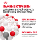 Royal Canin Maxi Starter Макси Стартер мазэ энд бэбидог Корм для щенков крупных пород до 2-х месяцев беременных и кормящих собак 4кг