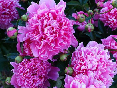 В наличии прямо сейчас