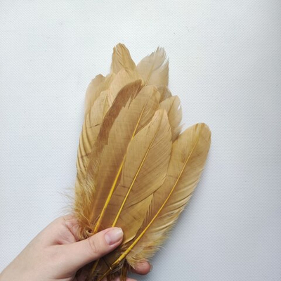 Гусиные перья оливковые 2 сорт 20 шт.