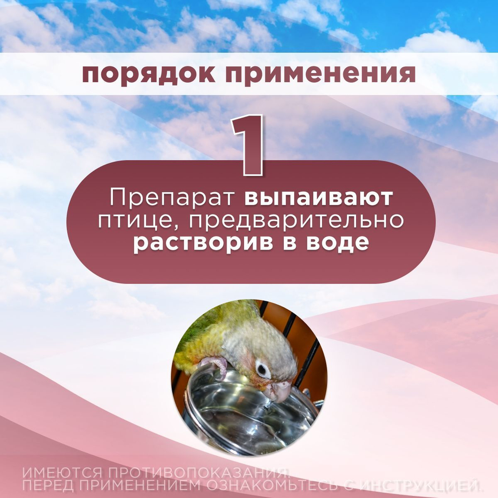 АВЗ Радостин Доктор для голубей, декоративных и певчих птиц, раствор для орального применения, 20 мл. Витамин А.