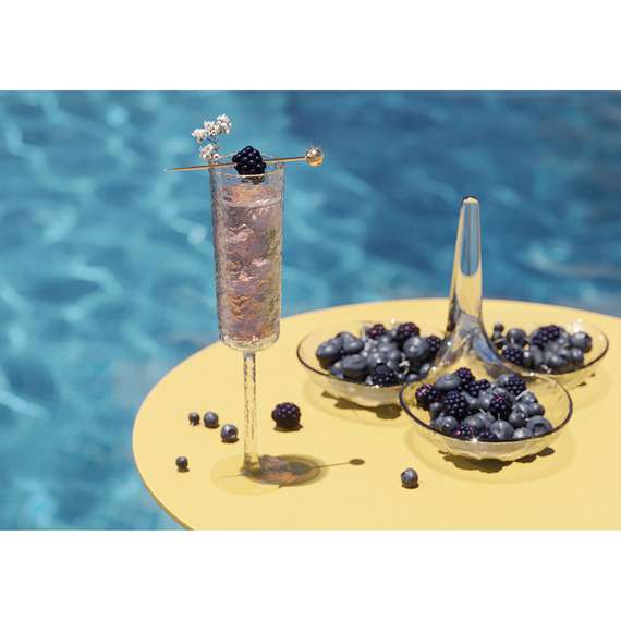 Набор менажниц arctic, прозрачный, 2 шт.