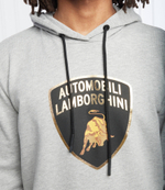 Худи Automobili Lamborghini - серый(72XBI021CJ315)