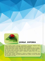 Насекомые