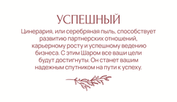 Успешный
