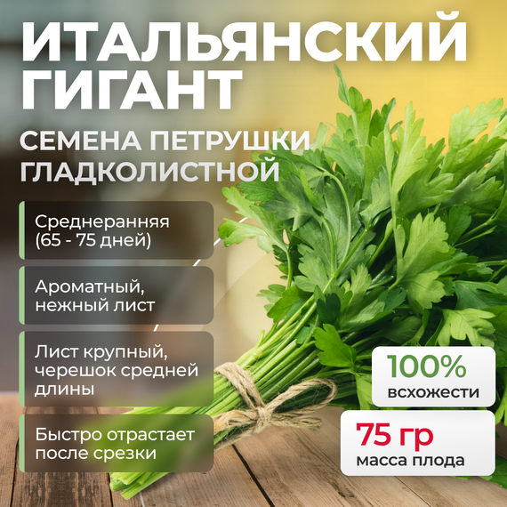ИТАЛЬЯНСКИЙ ГИГАНТ семена петрушки Enza Zaden купить – фото 1