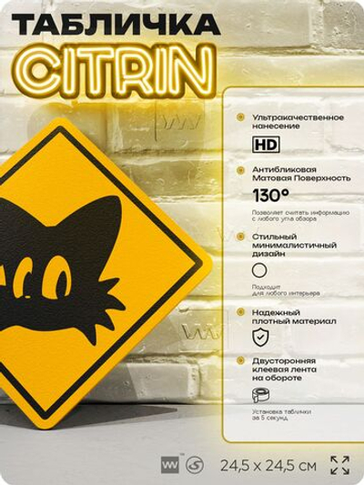Табличка декоративная "Тейлз (Майлз) Прауэр" на дверь и стену, прикольная штука в подарок в комнату, декоративный знак, 24,5х24,5 см, пластиковая, Айдентика Технолоджи