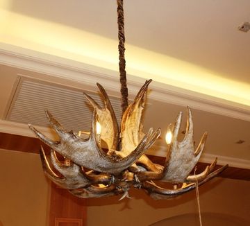 ROLL&HILL Superordinate Antler Chandelier - 2