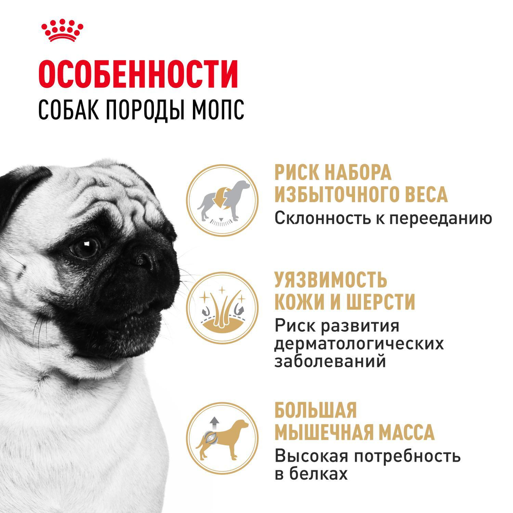 Royal Canin Pug Adult Корм сухой для взрослых собак породы Мопс от 10 месяцев 7,5 кг