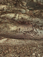 Премиум 8559 Медная бронза с зелёным - перламутровый сухой краситель